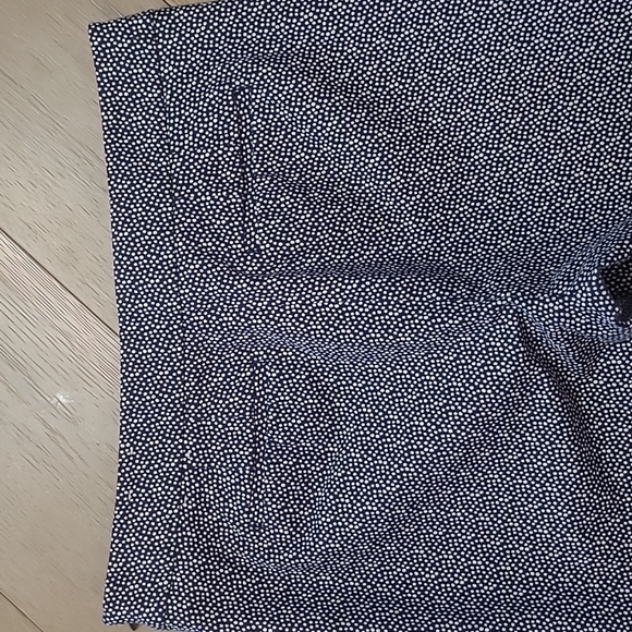 EUC Talbots Pants Women's sz 10P Blue/White Polka Dot Chatham Ankle Pant - Picture 4 of 14